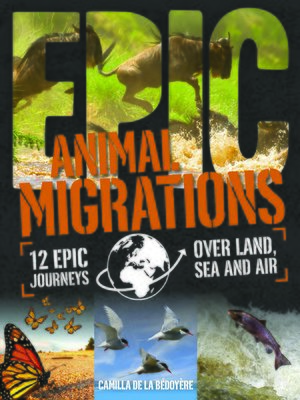 cover image of Animal Migrations